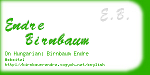 endre birnbaum business card